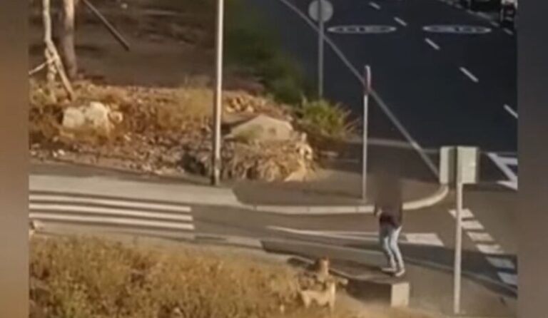 Una operación antidroga se salda con ocho detenidos en Tenerife