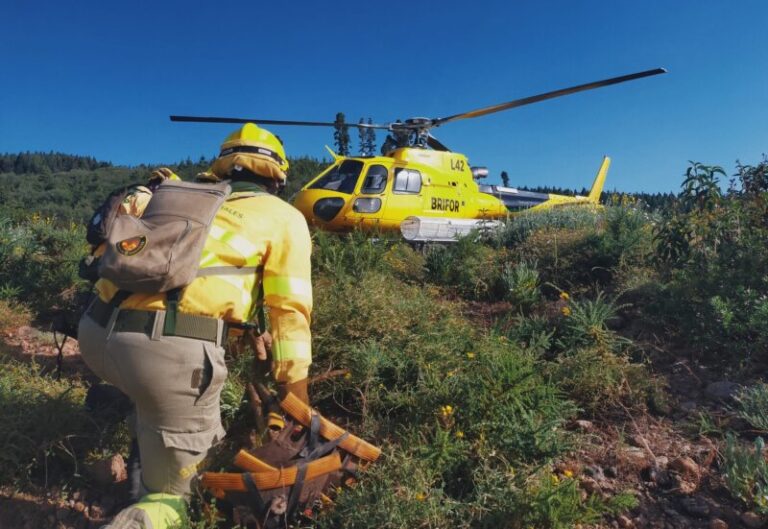 Controlado un conato de incendio en Icod el Alto, en Los Realejos