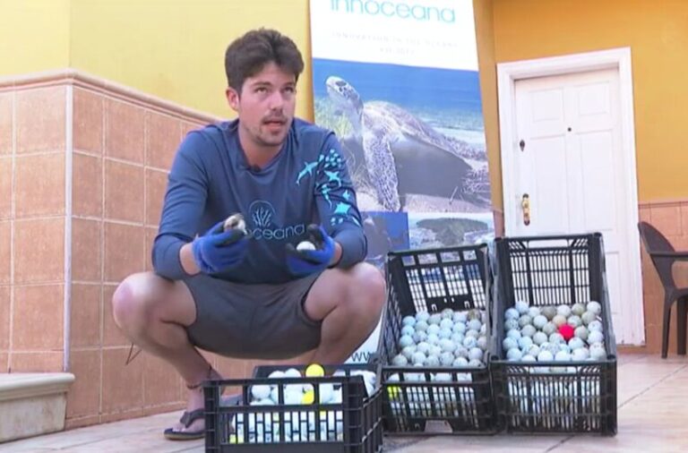 Una ONG busca concienciar sobre los residuos del fondo marino