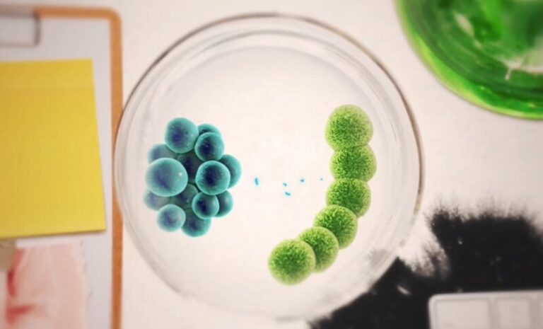 ‘Punto de partida’ analiza los parásitos más peligrosos para la salud