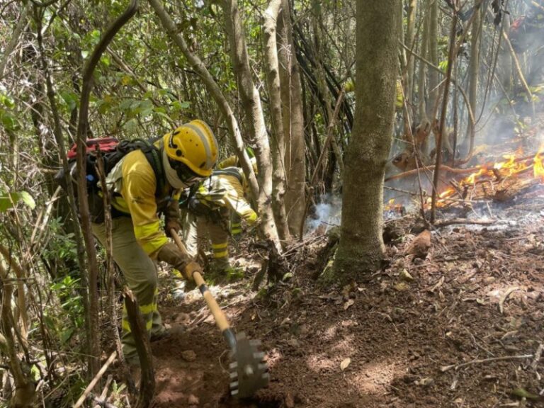 Un total de 88 efectivos se suman a la operativa para la prevención de incendios