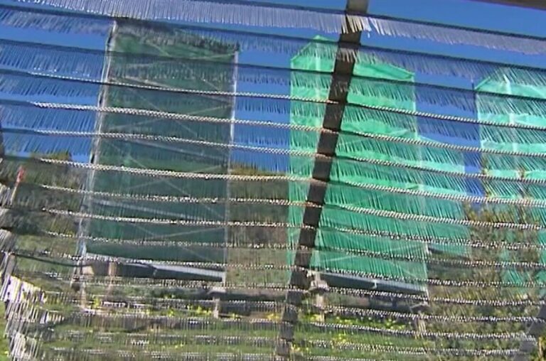 Nuevos captadores de niebla para frenar la desertización