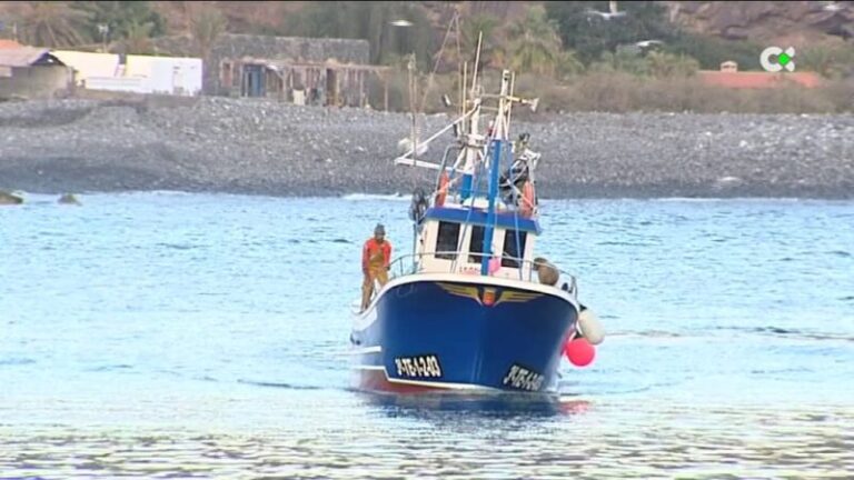 El caladero canario inicia la zafra del atún rojo
