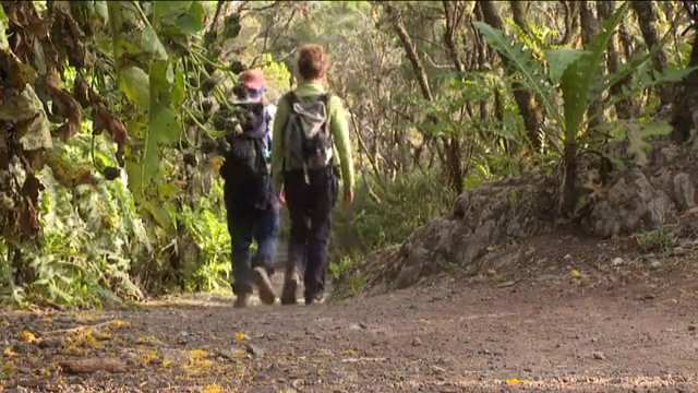 La Gomera, una isla distinguida por su amplia red de senderos