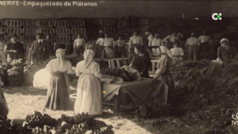 El patrimonio fotográfico canario y sus similitudes con regiones macaronésicas