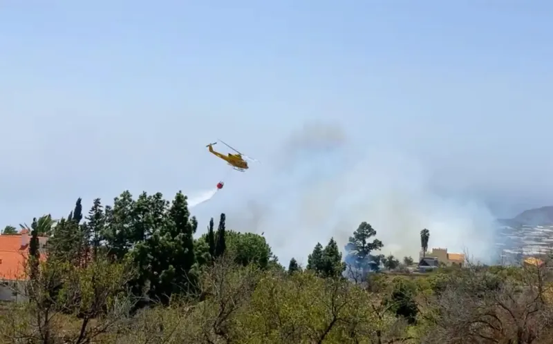 Tras insistir en que ambos fuegos tienen una "evolución favorable", ha estimado en unas 11.000 las hectáreas que se han visto afectadas en la zona occidental