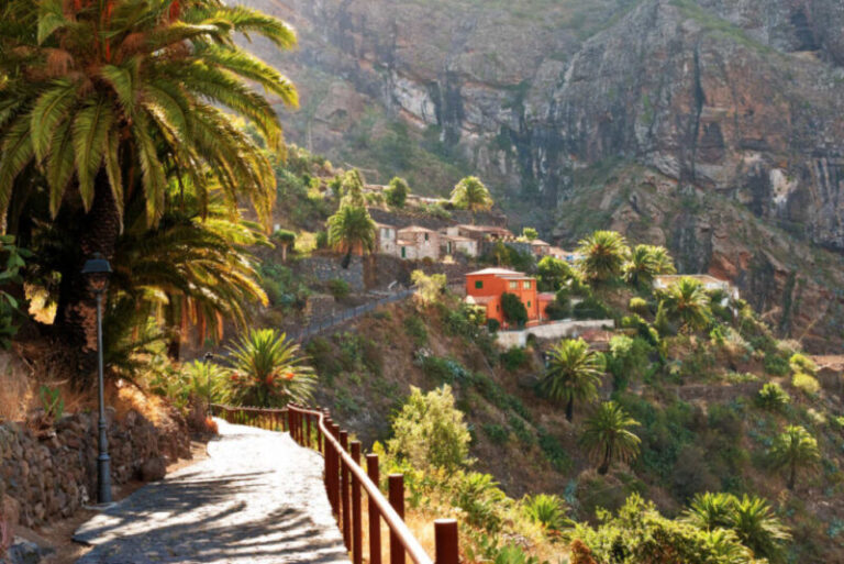 Atascos y accidentes debido a la alta afluencias que recibe el caserío de Masca