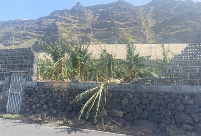 Calor y viento, con rachas por encima de los 90 km/h