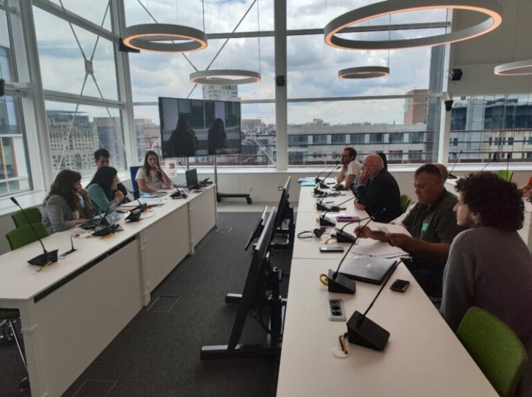 Podemos afirma que Europa está pendiente de la urbanización prevista en Adeje