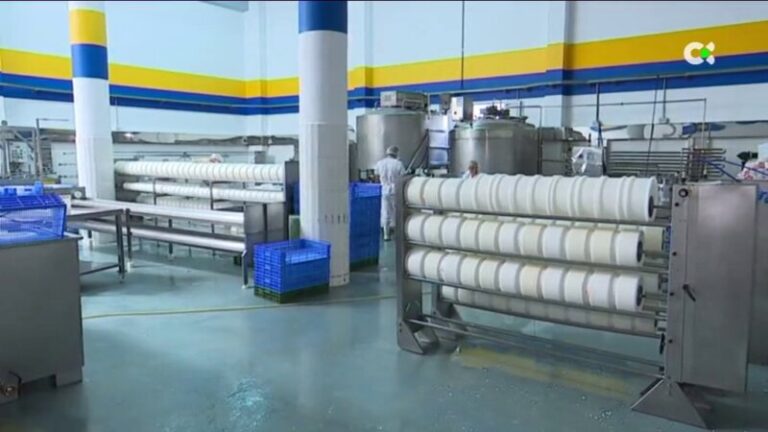 Tres empresas canarias piden participar en el piloto de la jornada laboral de cuatro días