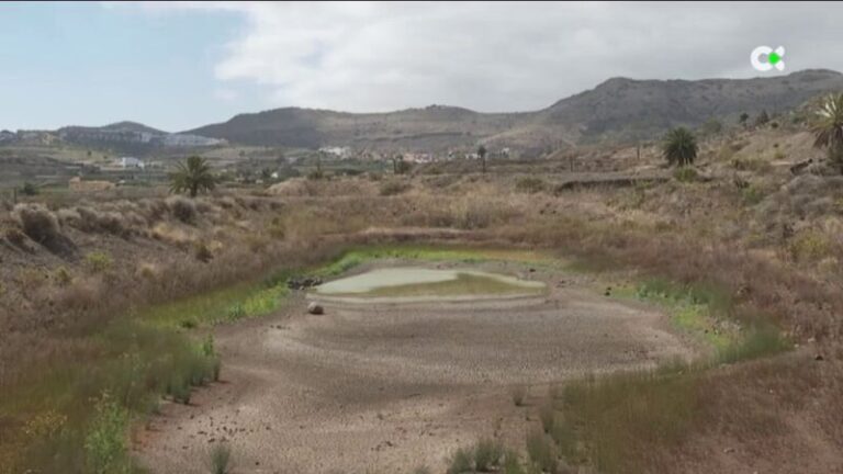 Los datos confirman que las sequías irán a peor en las islas