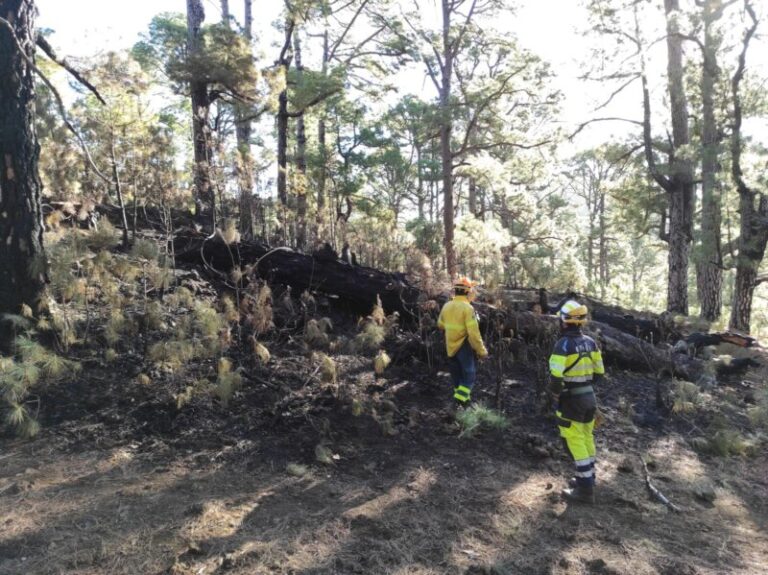 Extinguido el conato de incendio forestal en El Morcillo, El Hierro
