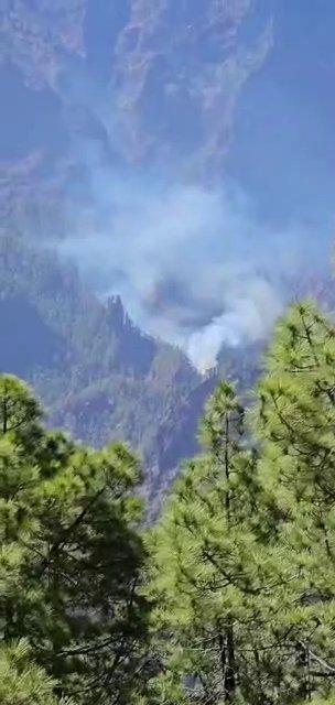 Estabilizado el conato de incendio de La Palma
