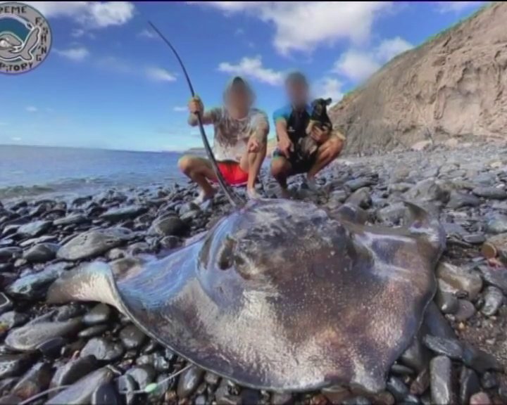 La Guardia Civil investiga a una empresa de Lanzarote por un posible caso de pesca recreativa sin control