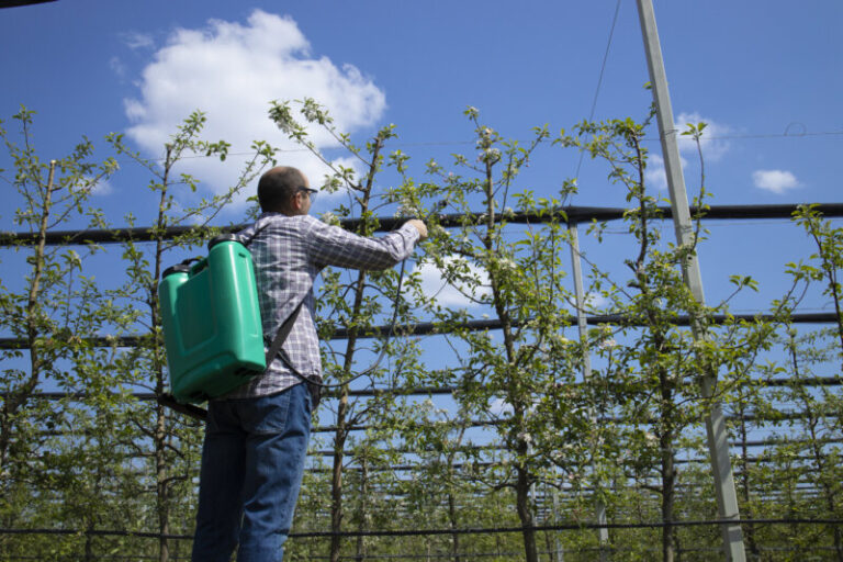 Antes de nacer ya estamos expuestos a los contaminantes químicos