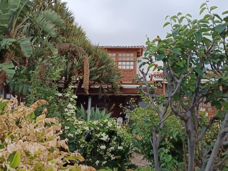 Los vecinos de El Sauzal heredan un chalet de más de mil metros cuadrados