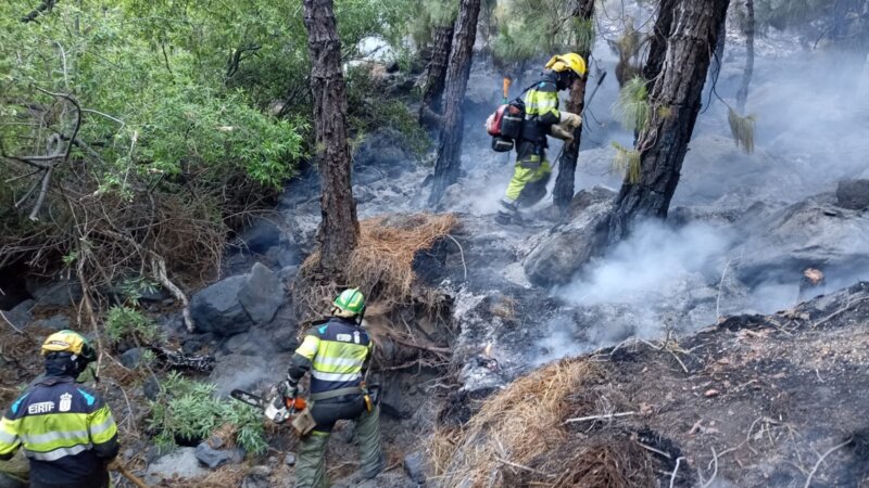 Intervención de agentes de la EIRIF en el conato del Parque Nacional de la Caldera de Taburiente / EIRIF