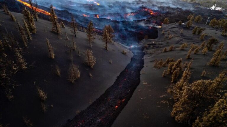 Iniciativa solidaria para ayudar a los agricultores de La Palma
