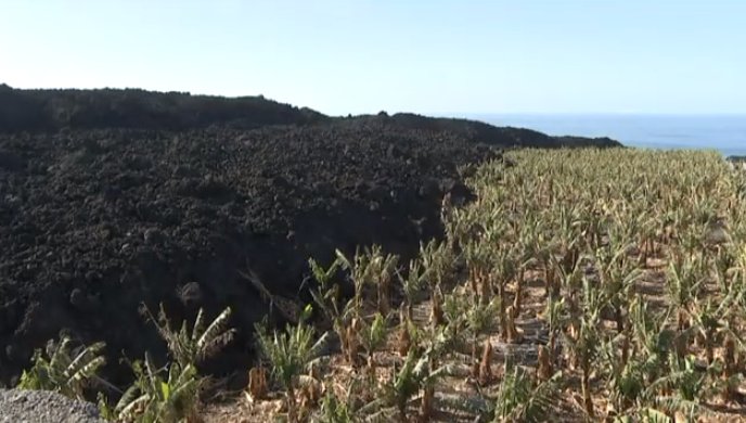 Trabajos para recuperar el suelo agrícola en la zona sepultada por el volcán