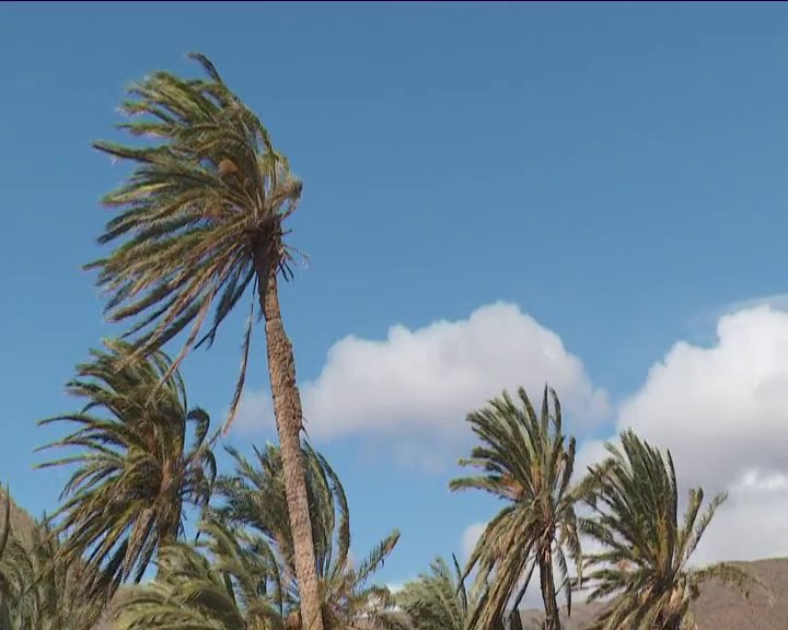 Aviso amarillo por viento y oleaje en Gran Canaria y la provincia de Santa Cruz de Tenerife