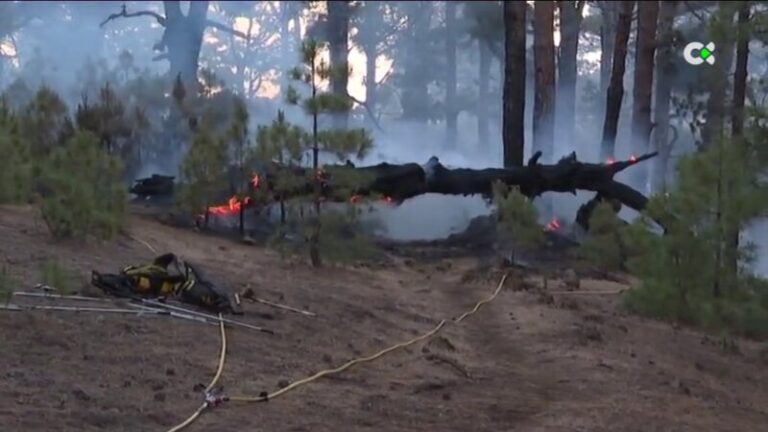 El incendio declarado en El Hierro ya está perimetrado y estabilizado