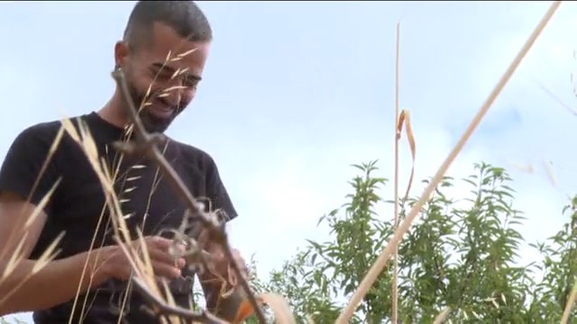 Sergio Cabrera, el pastor más joven de El Hierro: «Decidí apostar todo por esta labor»