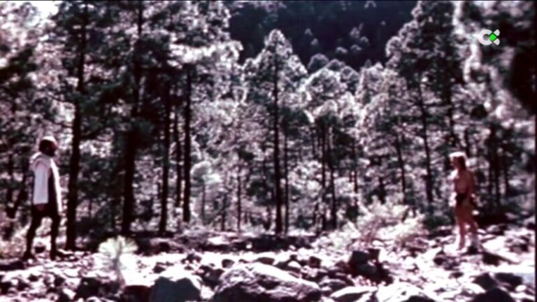 Cineastas canarios mantienen vivo el cine del archipiélago