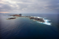 «La lucha contra las especies invasoras es fundamental en territorios insulares»