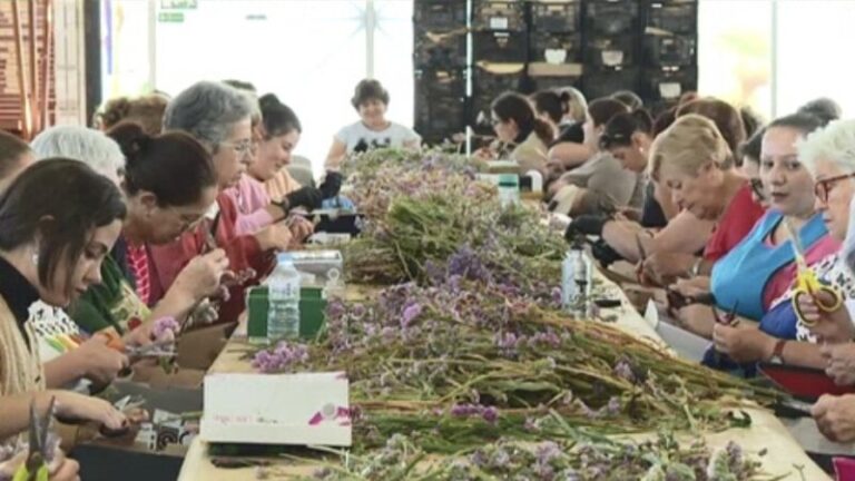 La Orotava prepara la Infraoctava del Corpus Christi