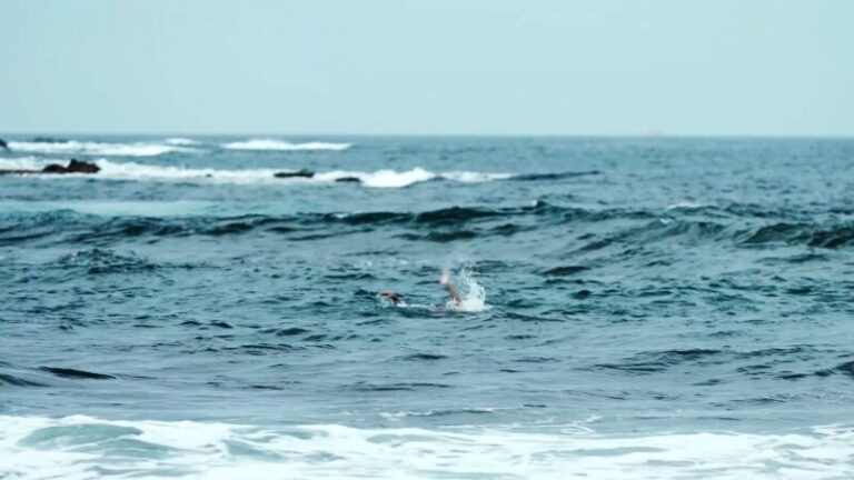 Sube la temperatura del mar en las Islas