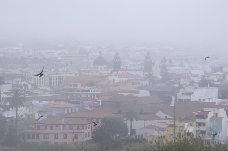 Óscar en La Laguna. Efe