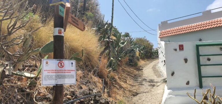 El Valle de Agaete celebra su ‘Rama’ por San Pedro sin Tamadaba