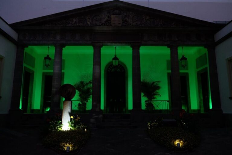 El Parlamento de Canarias se ilumina de verde por el ELA