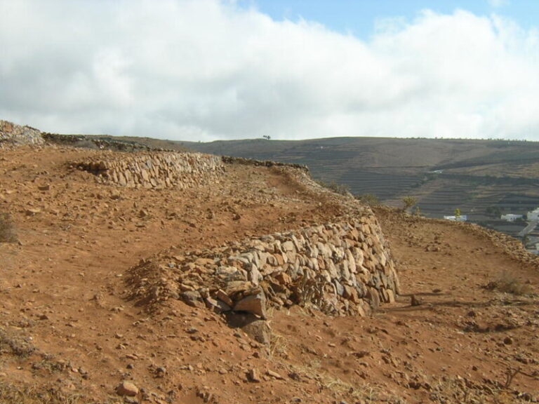 «El futuro de la agricultura está en el uso responsable del agua regenerada»