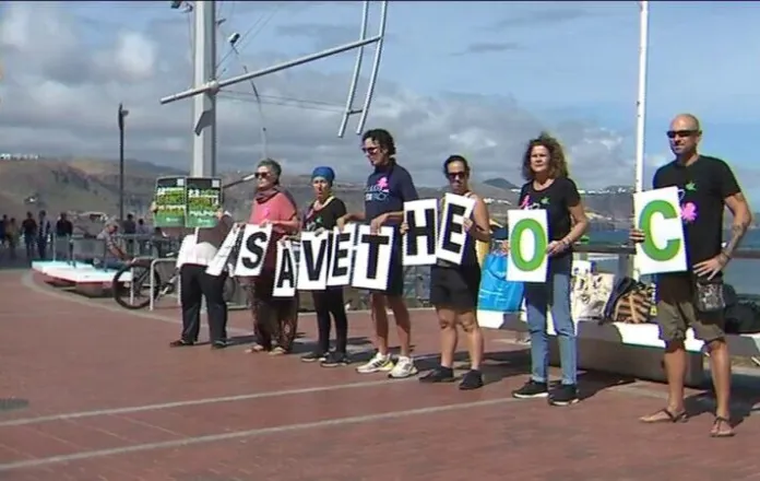 Ecologistas y científicos protestan en Las Canteras contra la futura granja de pulpos