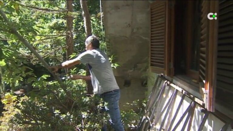 Vecinos de Gran Canaria trabajan por evitar los posibles incendios en verano