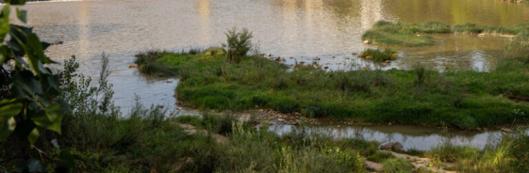 Un hombre detenido por asesinar a su mujer en Logroño reconoce los hechos