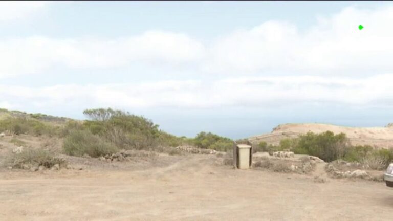 El bosque que hubo en la cumbre de Famara