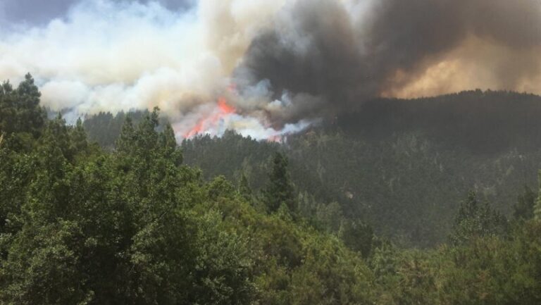Condena de cinco años de cárcel y 44.500 euros al autor del incendio de Los Realejos en 2023