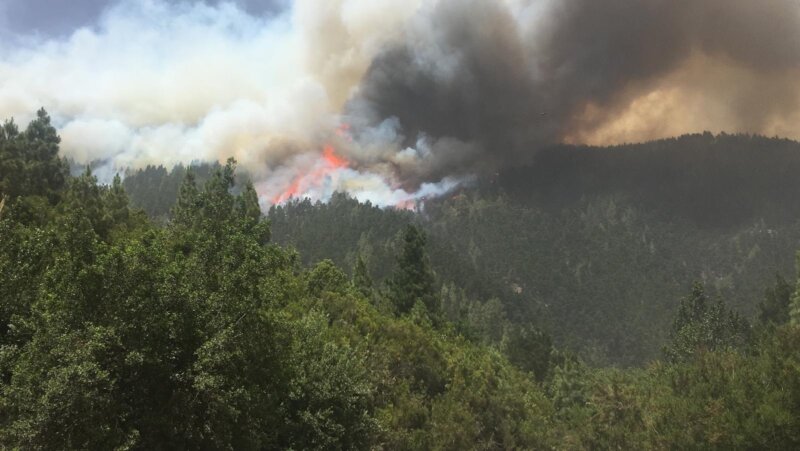 Condena de cinco años de cárcel y 44.500 euros al autor del incendio de Los Realejos en 2023