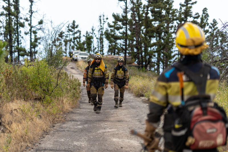 El incendio de La Caldera de Taburiente está «a pocos metros de morir»