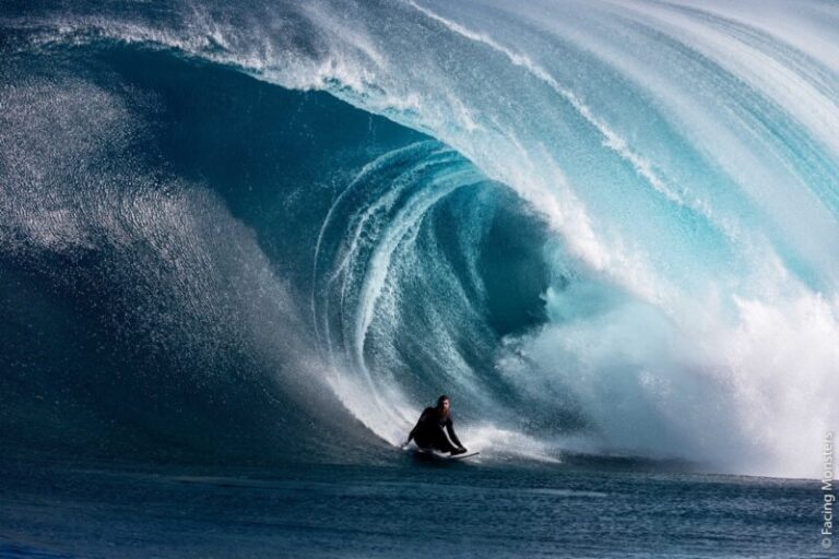 El International Ocean Film Tour proyecta este viernes seis cortos en el Teatro Guimerá de Santa Cruz de Tenerife