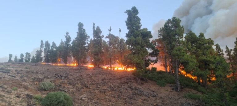 Parte de los evacuados por el incendio de La Palma han podido volver a sus casas