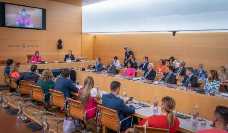 Rosa Dávila, nueva presidenta del Cabildo de Tenerife