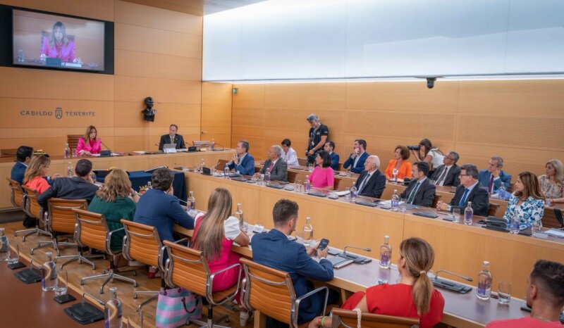 Pleno Cabildo Tenerife