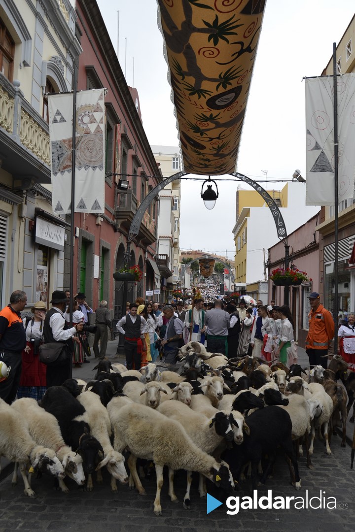 Romería Ofrenda Santiago de los Caballeros de Gáldar