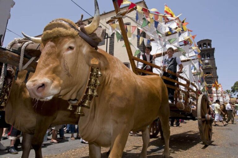 Romería de San Benito