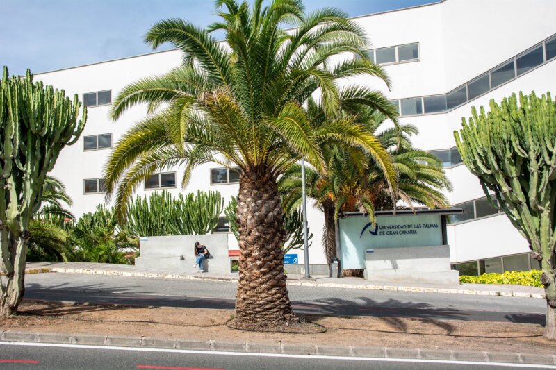 Tanto para estudios de Grado como de Máster, la matrícula fuera de plazo podrá realizarse del 12 de septiembre al 13 de octubre