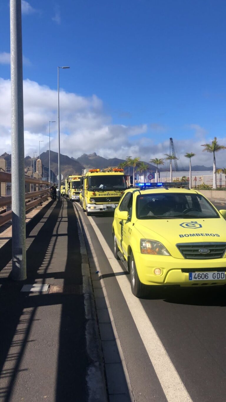 Diez medios aéreos y 300 efectivos combaten el fuego en La Palma