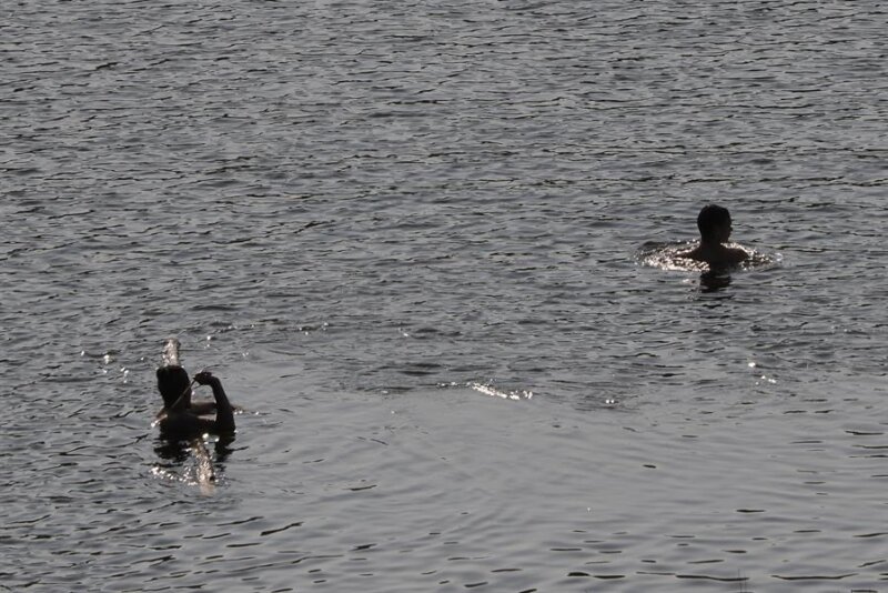 Más de media España en alerta por calor sofocante, Andalucía con 44º está en aviso rojo